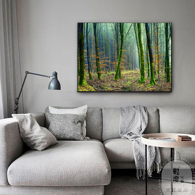 高清绿原始森林风景装饰画客客餐厅卧室办公室挂画树林背景墙横版