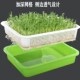 豆苗芽苗菜育苗盘豆芽发芽盆无土栽培设备水培蔬菜种植神器小麦籽
