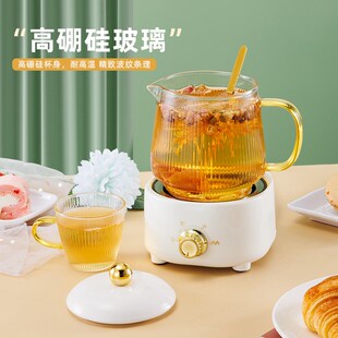 煮茶壶2023新款玻璃炖煮养生壶办公室小型迷mini多功能一人养生杯
