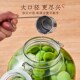 泡酒玻璃瓶专用酒瓶青梅酒空瓶自酿杨梅果酒10斤密封罐酒罐坛容器