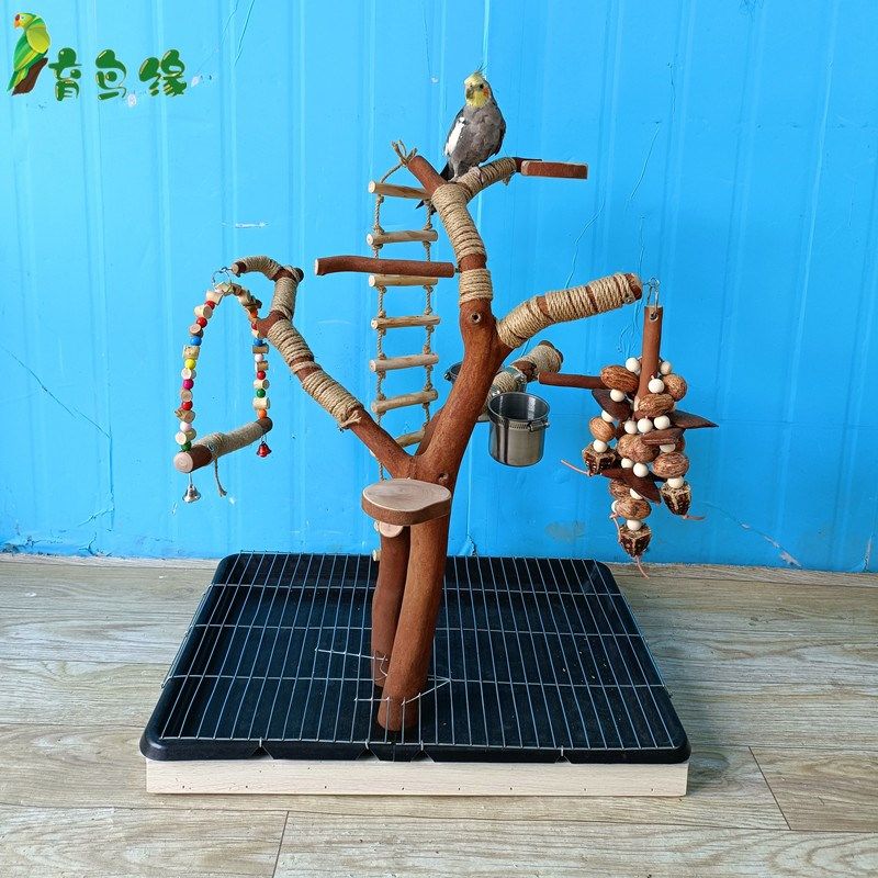 塑料托盘接粪板养殖场鸡鸭鹅兔鸟狗加厚接粪便盘鹦鹉宠物接便托盘,宠物/宠物食品及用品,鸟禽其他,淘宝优惠券,粉丝福利购,淘宝优惠卷