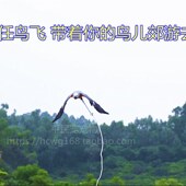 鹦鹉放飞绳玄凤飞行绳小太灰遛鸟脚链脚环鹦鹉用品用具鸟玩具站架