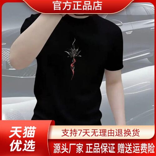 峰云精选100%纯棉T恤圆领重磅休闲夏季运动百搭轻奢男士半袖短袖z