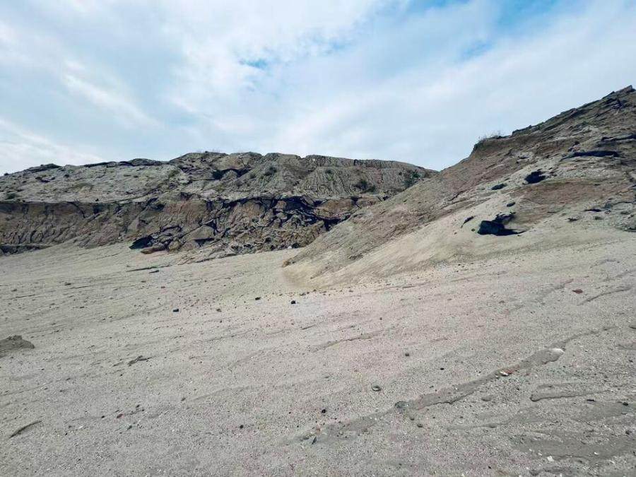 1月24日厦门造地余砂5万立方米网络拍卖公告