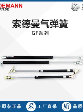 Sodemann索德曼气弹簧GF系列