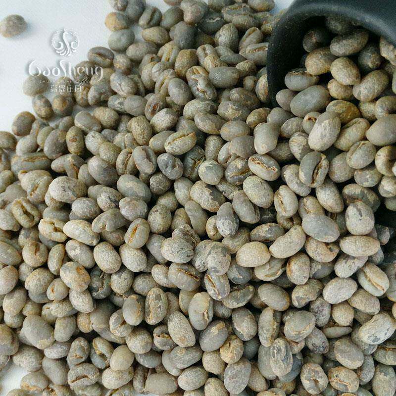 高晟庄园 水洗圆豆咖啡生豆 PB阿拉比卡1000g 醇厚油脂云南咖啡豆