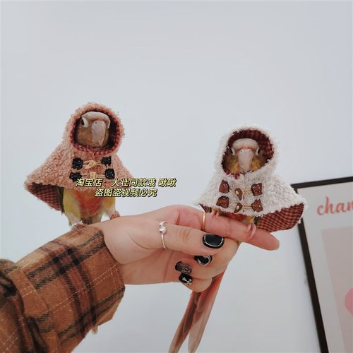 牛角扣款鸟衣服鹦鹉披风斗篷加厚保暖外出鹦鹉用品