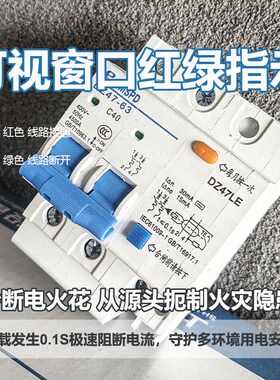 单相漏电断路器32A空开小型1P漏保63a2p三相3电闸4家用DZ47LE-C63