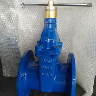 软密封闸阀 弹性座封闸阀防盗闸阀 磁性加密锁闭 DN150 厂家直销