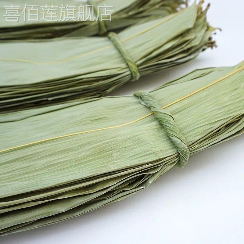广西粽子叶野生粽叶干大号宽大晒干 干棕叶新叶包粽子的叶子家用