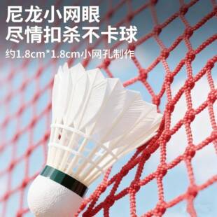 球网架便携式VLN室外网毛室内家用简网比赛中拦网匹克易球羽网标
