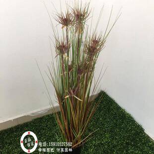 仿真晴天草盆芦苇草狗尾草绿植水生水田园装饰物盆景栽盆YOA植草