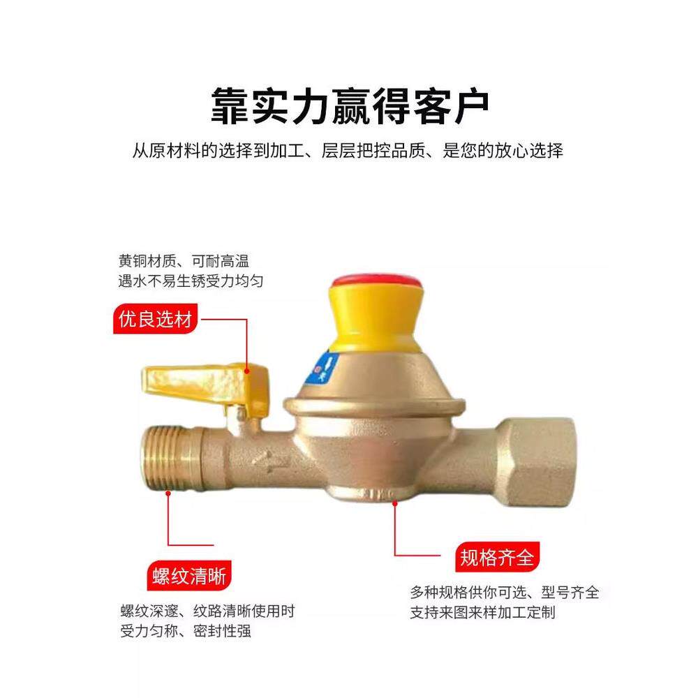 燃气热水器煤灶气自闭阀壁挂炉铜家管天然气防GRV泄漏用安全阀件