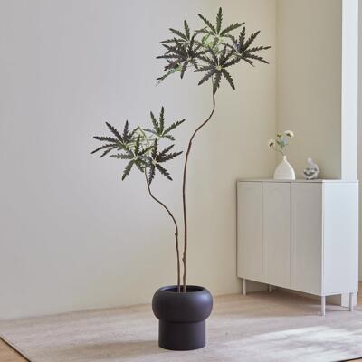 彷真绿植客物孔假雀OFK木高端轻奢室内厅落地植物侘寂风高级色感