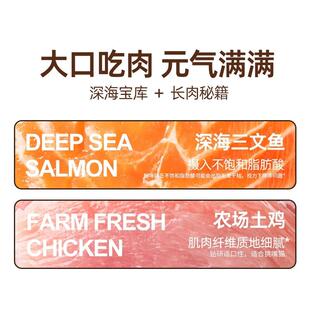 滋元鲑鱼味猫粮2.5kg全价成猫粮年幼猫5斤十大成品牌美泌尿FTU鸡