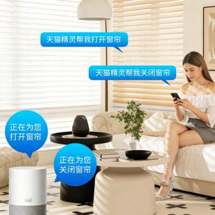 电动格里香拉窗帘柔纱百帘免打孔00990办叶公室卫生室间客厅卧遮