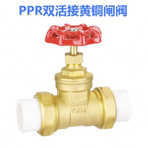 PPR活接铜闸阀自来水管暖气开关4分20双头热熔6分25塑料1寸32截止