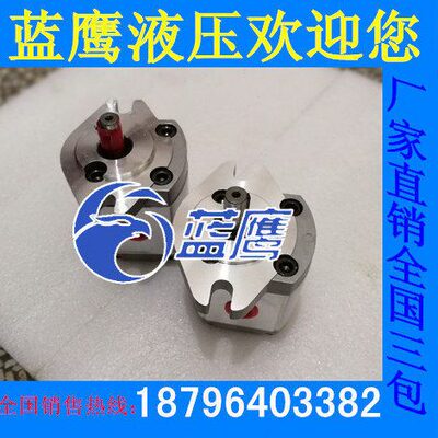 P101/P102/P104/P105/P106/P107/P108/P109 RP01GT齿轮泵 12.7轴