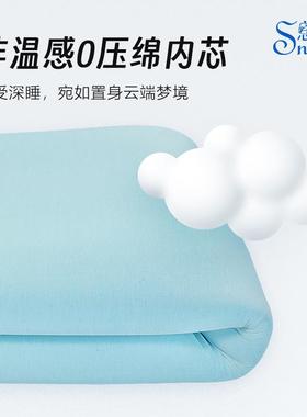 零压记忆棉床垫薄凝胶慢回弹榻米垫子m软SNORE-JY垫褥定制榻床子