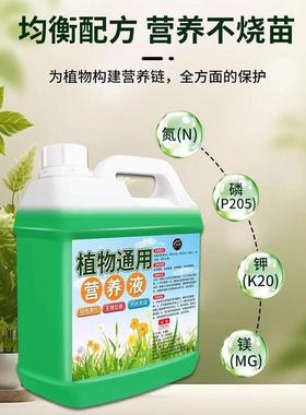 物养液通用型培养花绿植盆栽花营卉肥液体肥料土培JUR24816水培治