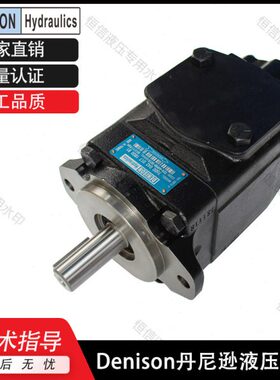 Denison丹尼逊叶片泵T7DB/T7DBS-B24/28/31/35/38/45-B02-1R00-A1