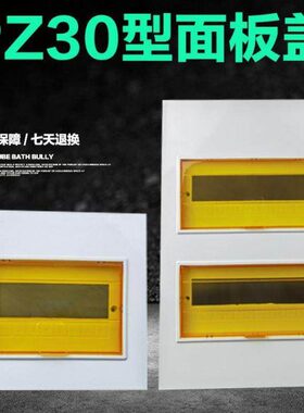 PZ30配电箱面板盖子白色暗明装铁盖板10121518202430回路