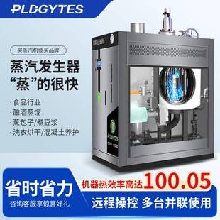 天然气蒸汽发生器燃气锅炉全自动稳定耐用工业节能变频蒸汽发生器