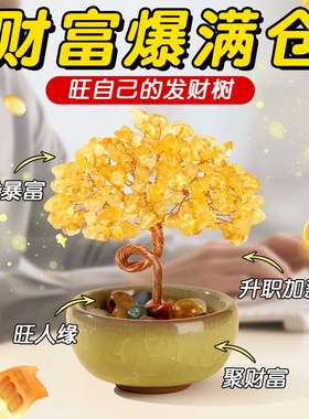 普陀山天然黄水晶发财树紫水晶招财聚宝盆家居办公室车载装饰摆件