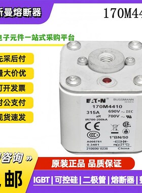 巴斯曼熔断器保险丝 170M1311 170M5456 170M4410 6466 6414 询价