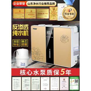 净水器水家饮用o反渗透自YPN-RO-7来过滤器厨房净水机纯水全自r动