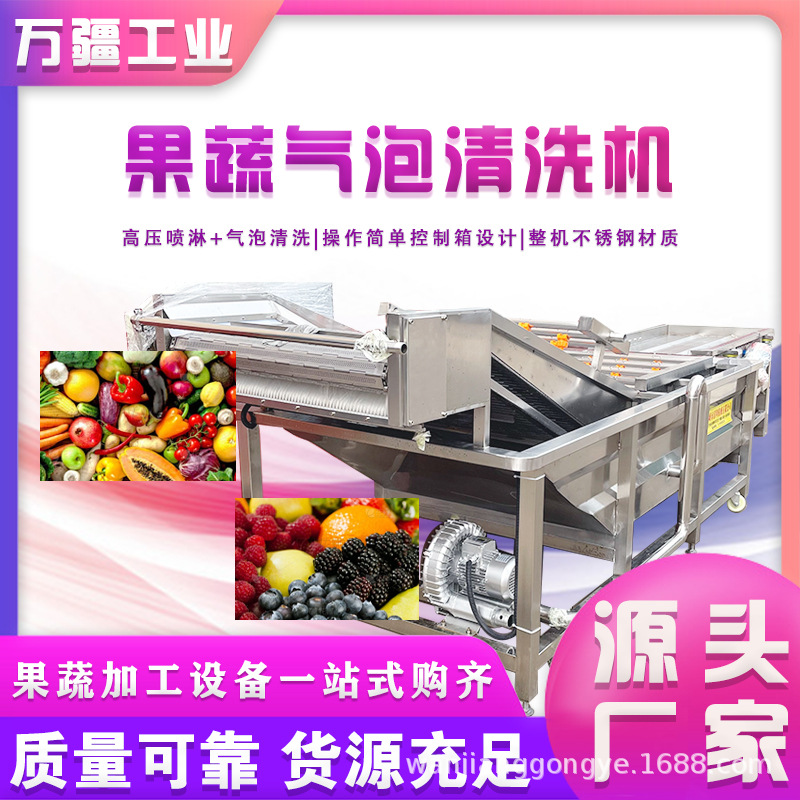 工厂生产瓜果气泡清洗机 豆芽韭菜清洗设备 笋尖清洗加工生产线