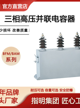 指明厂家  三相高压电力电容器BFM11-100-3W 高压并联电容器系列