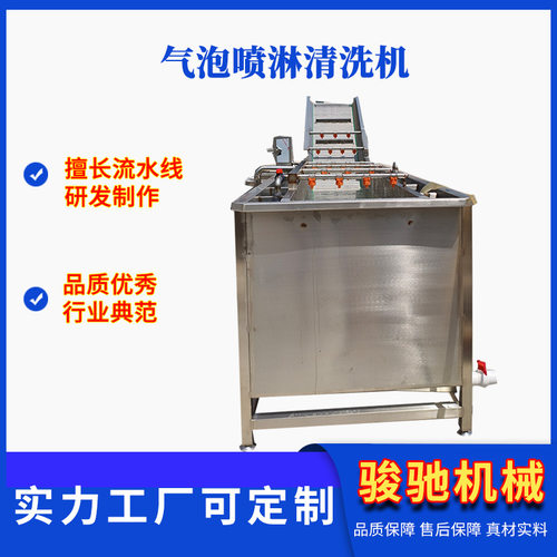 全自动果蔬气泡清洗机 枸杞胡萝卜大枣清洗设备 净菜清洗机器