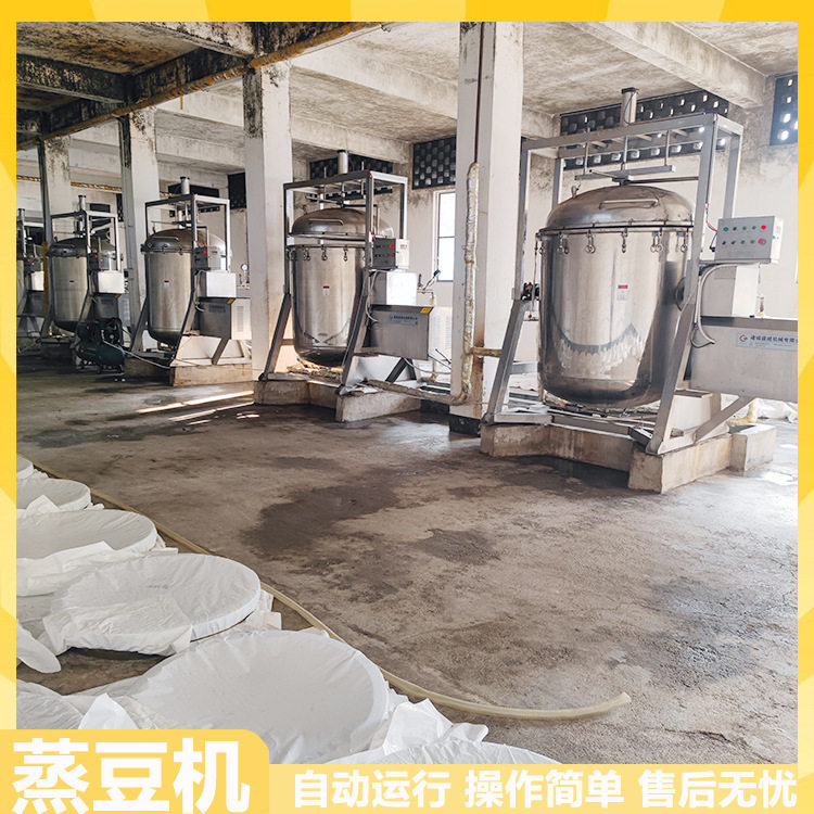 鼎旺蚕豆芸豆蒸煮设备酿醋粮食蒸煮锅蒸汽加热黄豆发酵豆类蒸豆机