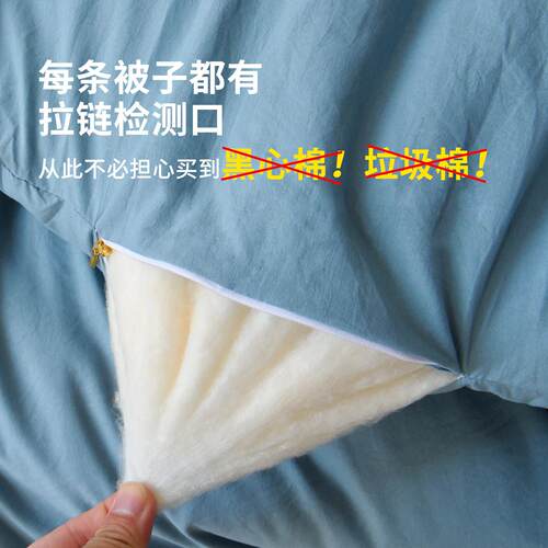超舍糯大LCD纤维被单人宿保暖加厚冬被春秋被四软季通用 被子 豆