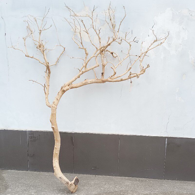 干树枝装饰树干枝树许愿树枯树歪脖子天然树干造型树室内庭院假树