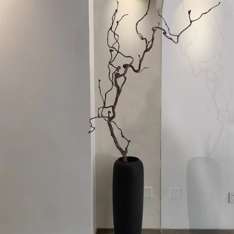 干枝龙枣枝枯藤藤条装饰藤造型造景枯树枝山藤藤蔓树枝摆件