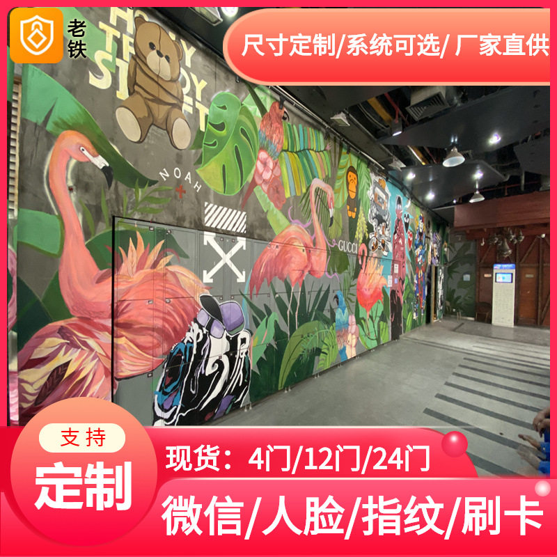 微信扫码智能储物柜/手机共享寄存柜/青海车站地铁机场存包柜投放