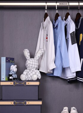 儿童房装饰品摆件衣柜饰品陈列全屋定制J展厅样板间男孩房衣帽间
