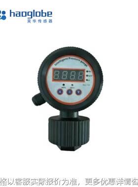HPC-600防腐电子压力开关 温度液位报警控制器耐酸碱压力表变送器