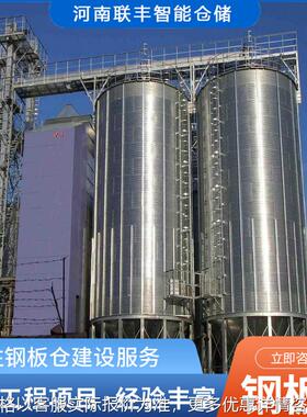 钢板仓现货 500t玉米钢板仓玉米存储粮仓