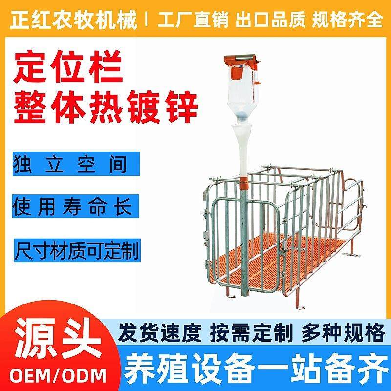 养殖设备母猪定位栏落地式限位栏猪用定位栏带槽仔猪保育设