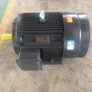 机械设备用电机 4极.立式 厂家供应三相异步电动机HM2 55W