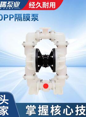 S20PP塑料隔膜泵厂家供应S20B3P2PPS100隔膜泵往复泵工程隔膜泵