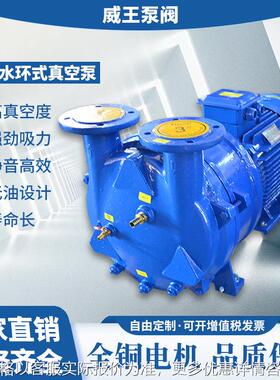 水环式真空泵，2BV2071 ，铸铁水环式真空泵，真空泵全系列