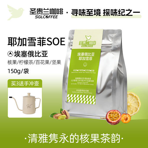 SGL圣贵兰咖啡豆耶加雪菲SOE埃塞俄比亚G2原生种核果花香精品手冲