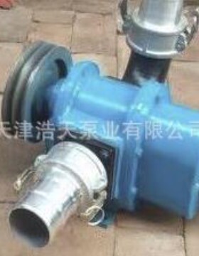 同步齿轮泵TDTB 粪便污泥 柴油机油 润滑油稠油粘油 基础油齿轮泵