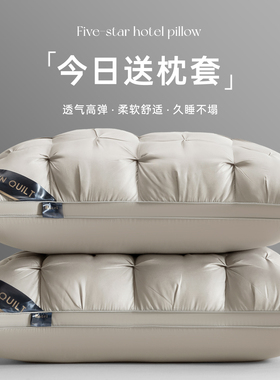 五星级酒店枕头护颈椎助睡眠枕头套和枕芯一套枕头枕芯家用 枕头