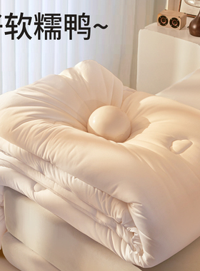 被子冬2025新款被芯加厚款冬被男士保暖春秋被220x240cm过冬棉被