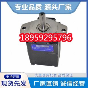 003 1R00 005 008 B1油泵 006液压泵T6C DENISON丹尼逊定量泵T6C